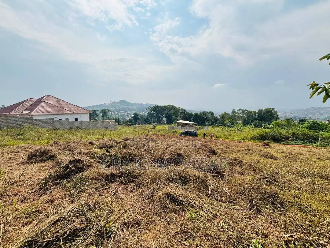 Land for Sale – Wamala, Near Akright