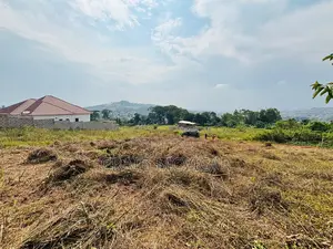 Land for Sale – Wamala, Near Akright