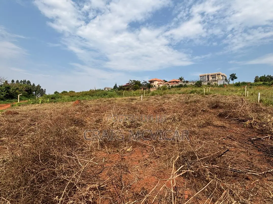 Land for Sale – Wamala, Near Akright