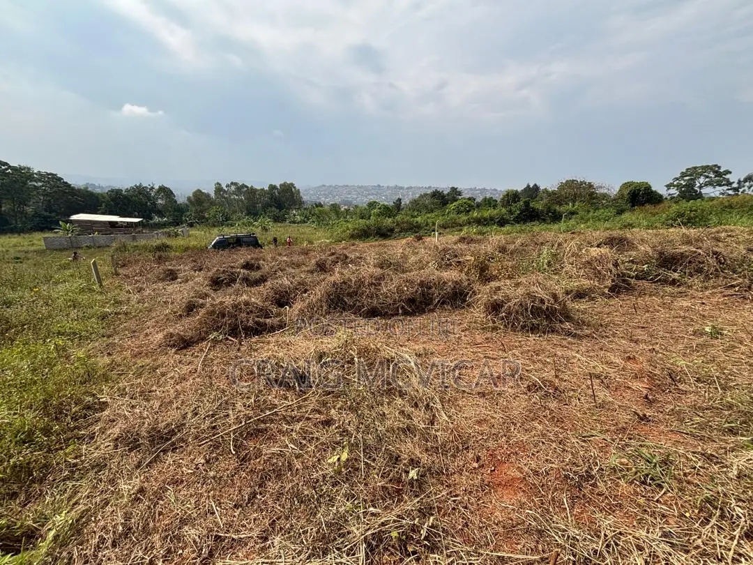 Land for Sale – Wamala, Near Akright