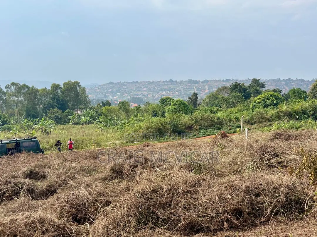 Land for Sale – Wamala, Near Akright