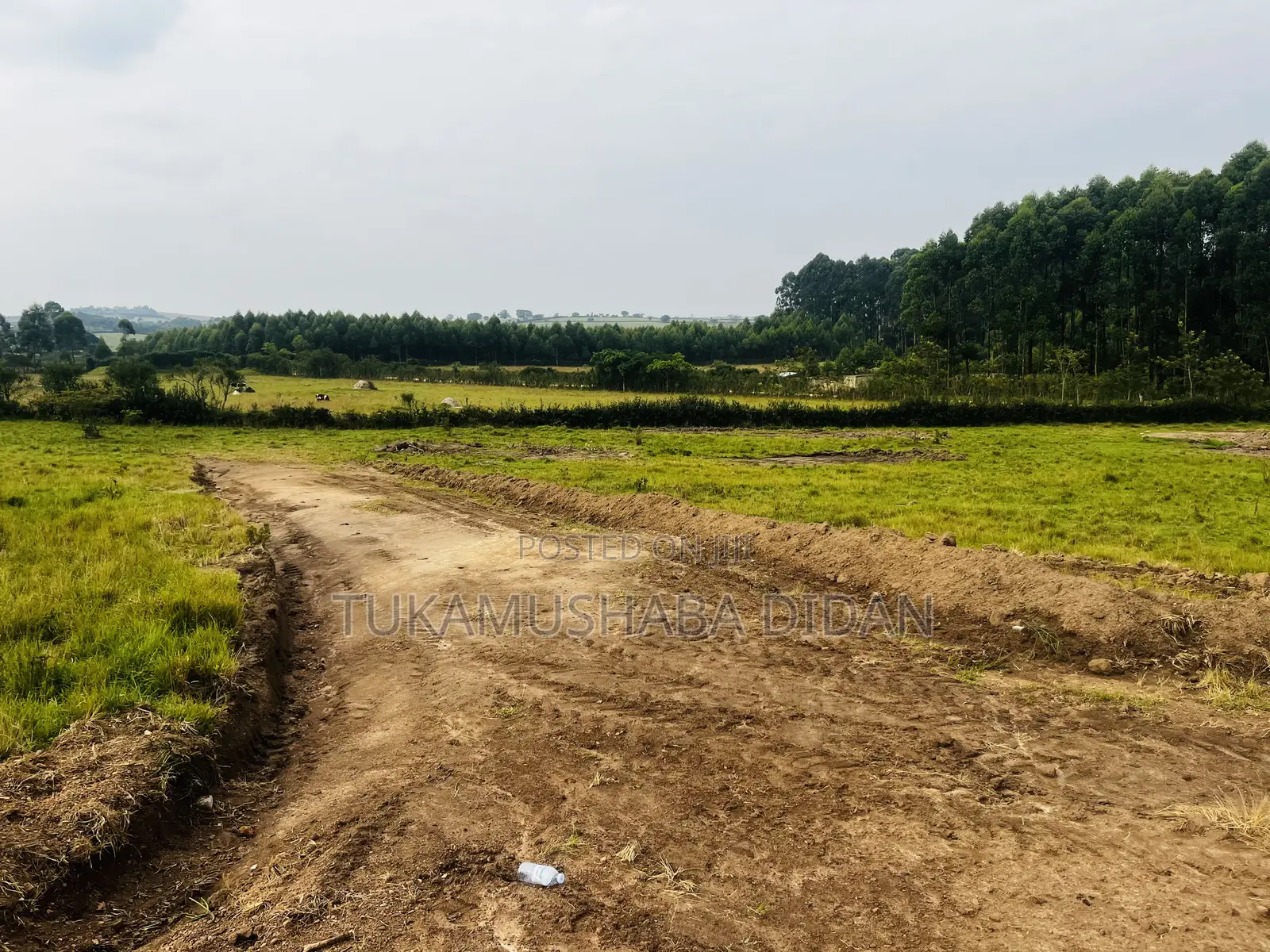 Residential Plots for Sale in Nyakisharara Mbarara Near Airfield