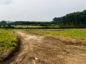 Residential Plots for Sale in Nyakisharara Mbarara Near Airfield