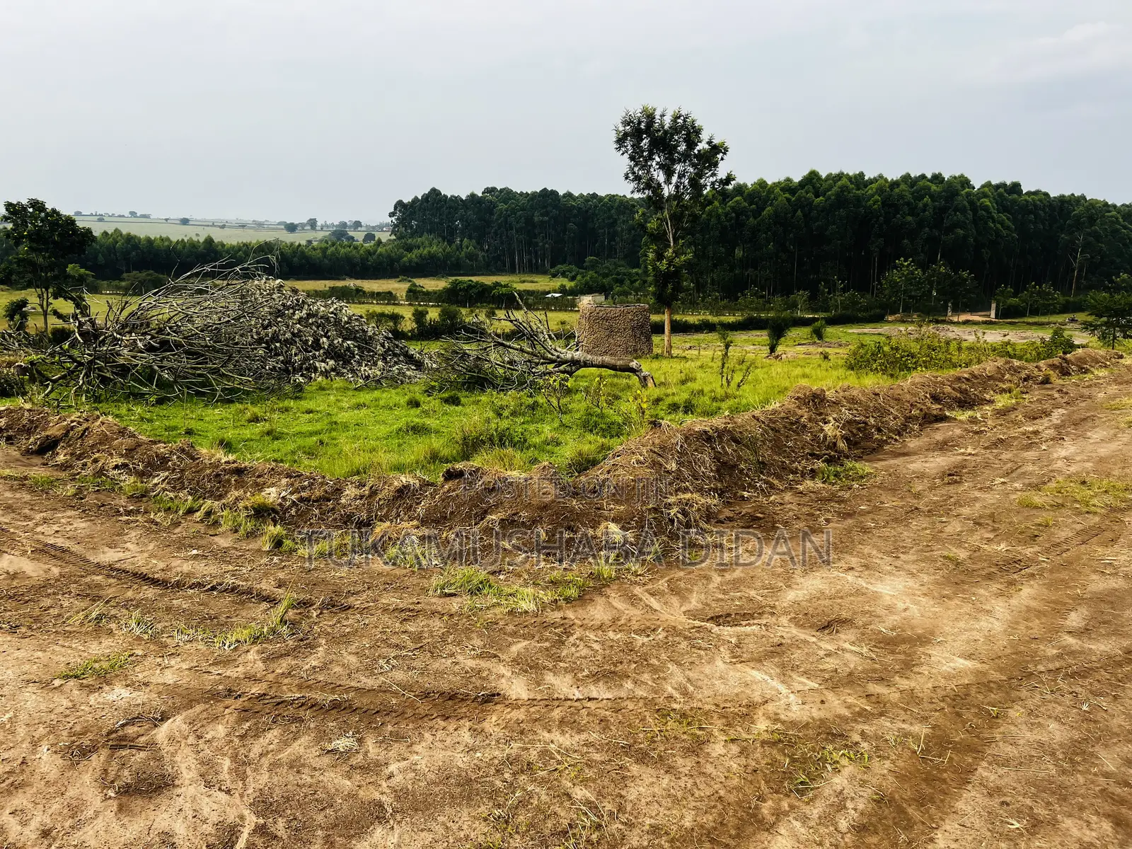 Residential Plots for Sale in Nyakisharara Mbarara Near Airfield