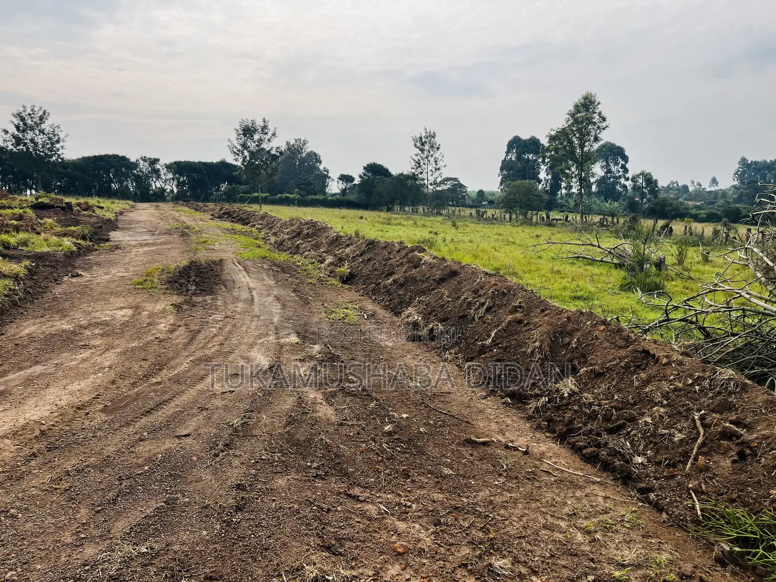 Residential Plots for Sale in Nyakisharara Mbarara Near Airfield