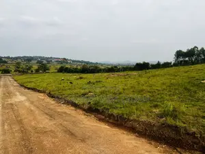 Residential Plots for Sale in Nyakisharara Mbarara Near Airfield