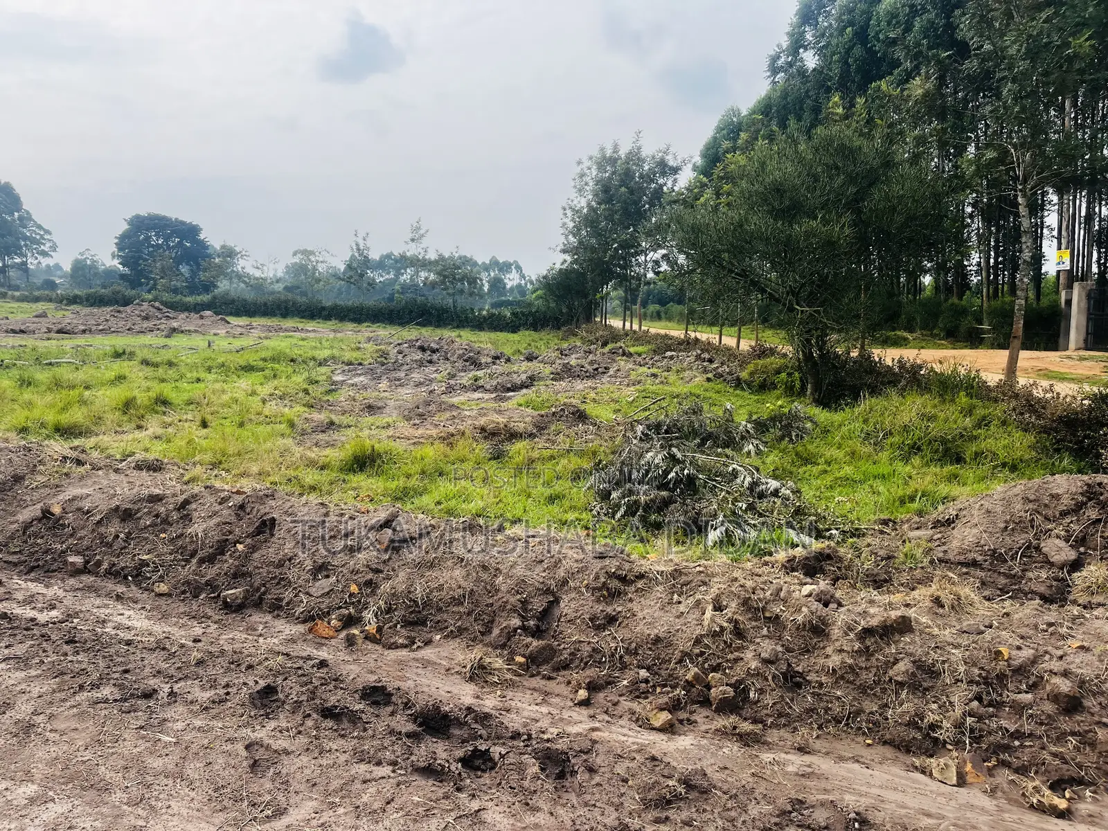 Residential Plots for Sale in Nyakisharara Mbarara Near Airfield