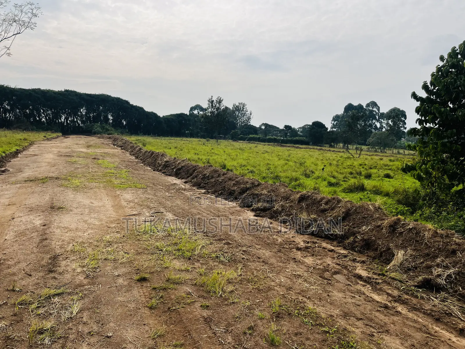 Residential Plots for Sale in Nyakisharara Mbarara Near Airfield