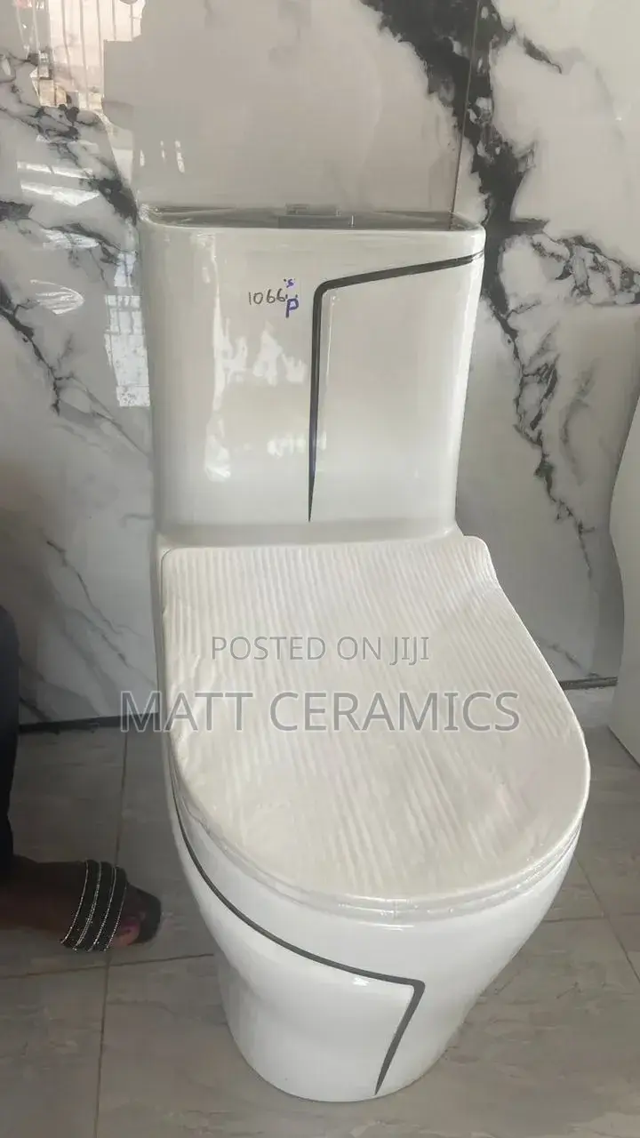 White and Black Toilet Seat