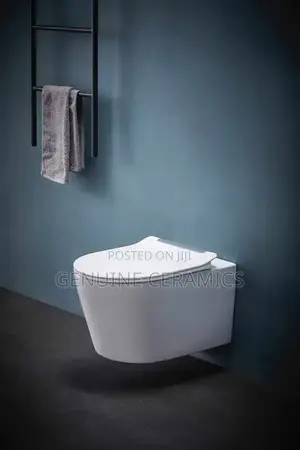 Classy Concealed Toilets