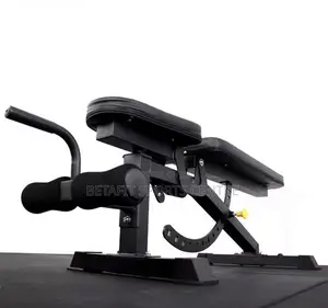 Adjustable Dumbbell Weight Bench