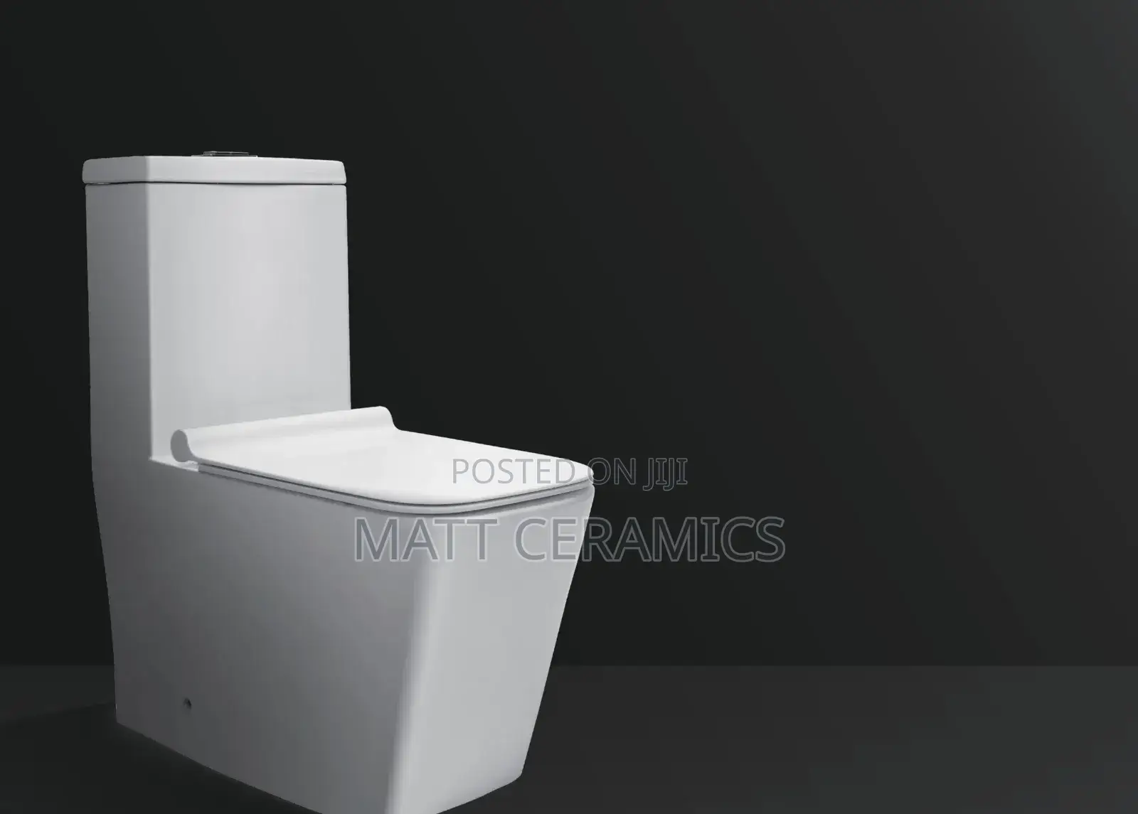 Facy Toilet Seat