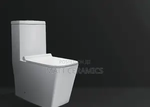 Facy Toilet Seat