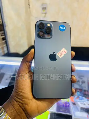 Apple iPhone 12 Pro Max 256 GB Blue