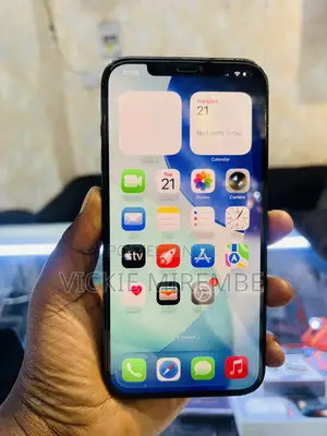 Apple iPhone 12 Pro Max 256 GB Blue