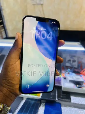 Apple iPhone 13 Pro Max 256 GB Blue