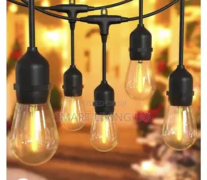 Premium Decorative String Lights – Long Lasting LEDs