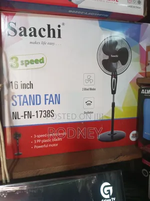 Saachi Stand Fun