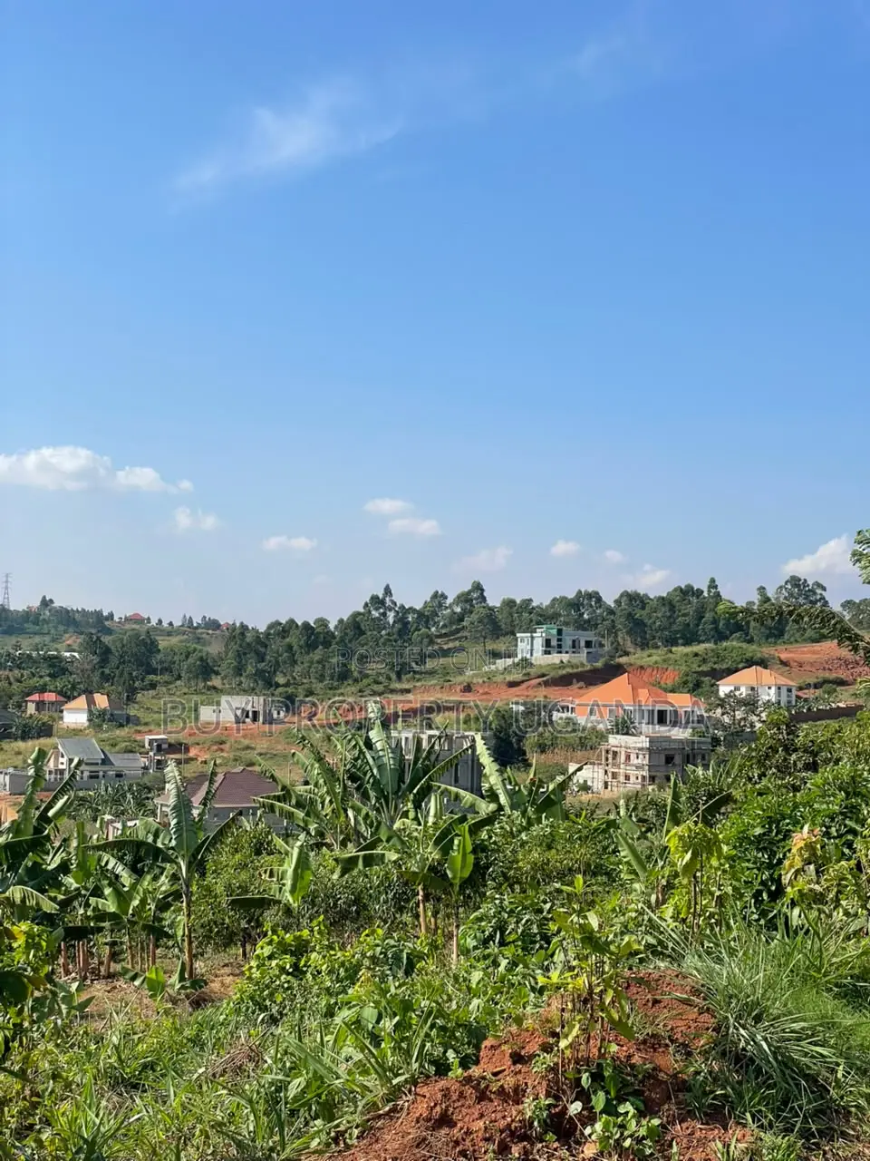 50 by 100 Plots for Sale Near Akright Entebbe