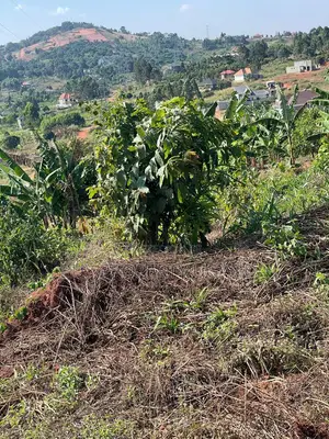 50 by 100 Plots for Sale Near Akright Entebbe