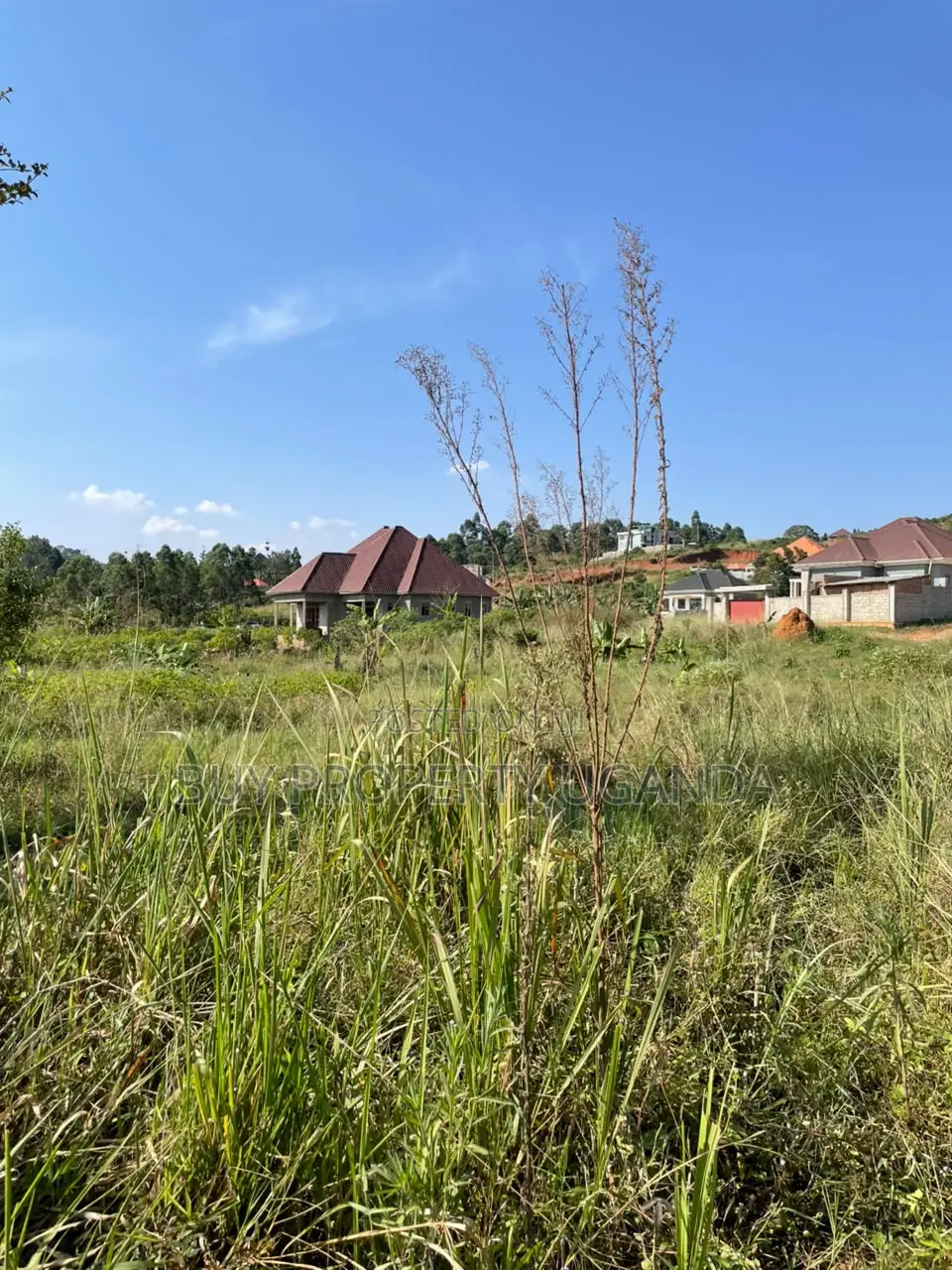 50 by 100 Plots for Sale Near Akright Entebbe