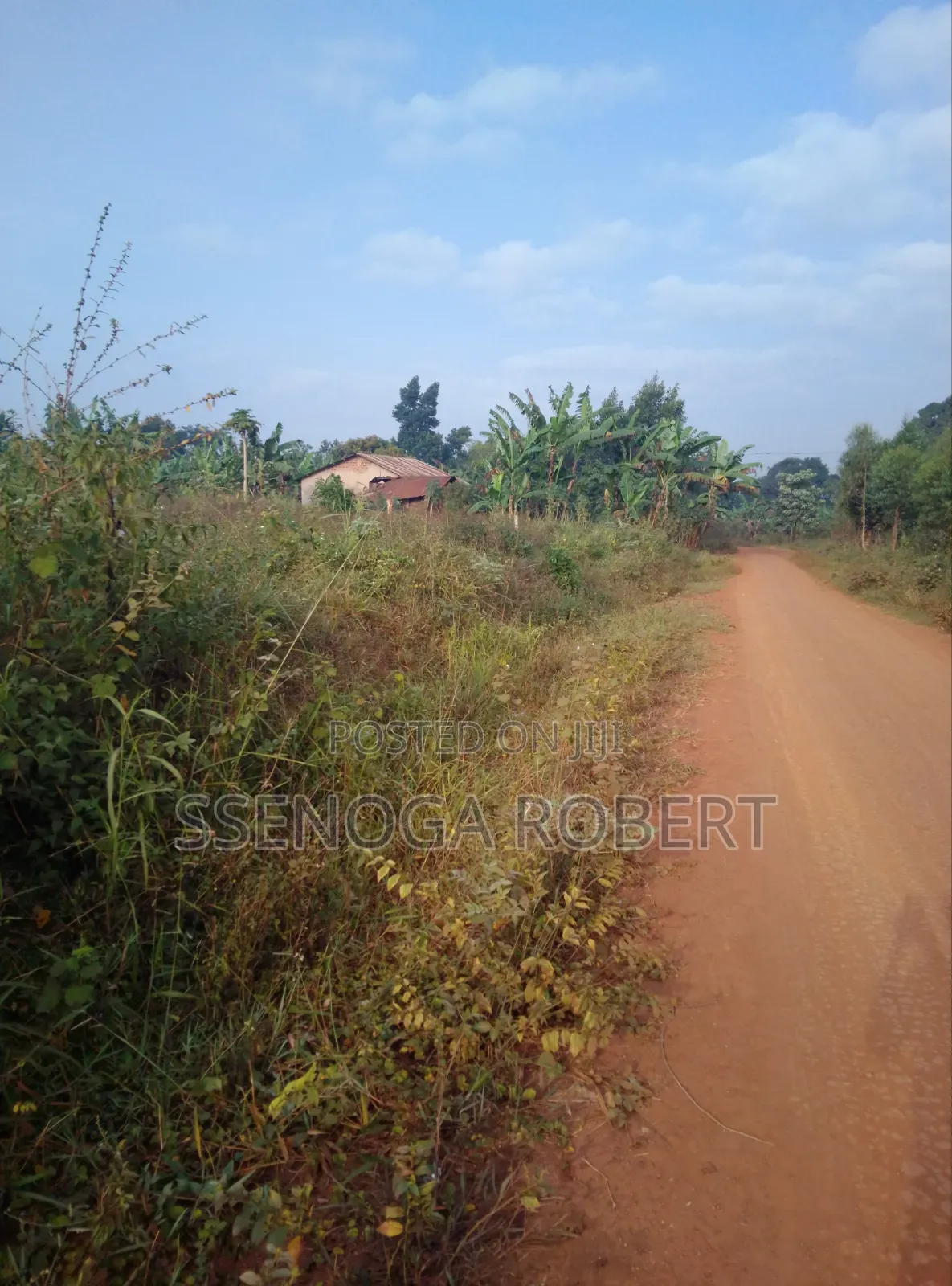 Plot in Masuliita for Sale Near