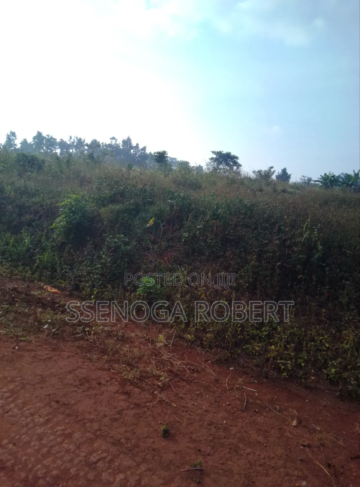 Plot in Masuliita for Sale Near