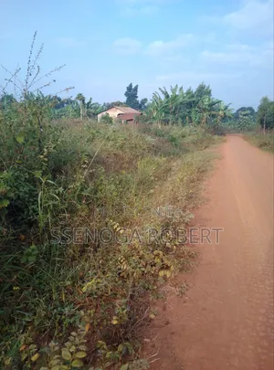 Plot in Masuliita for Sale Near
