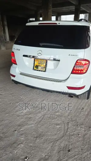 Mercedes-Benz M Class 2010 White