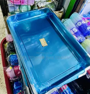 Food Warmer/Serving Tray