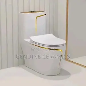 White and Gold Strip Toilet Seat