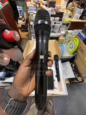 Wireless Microphone System