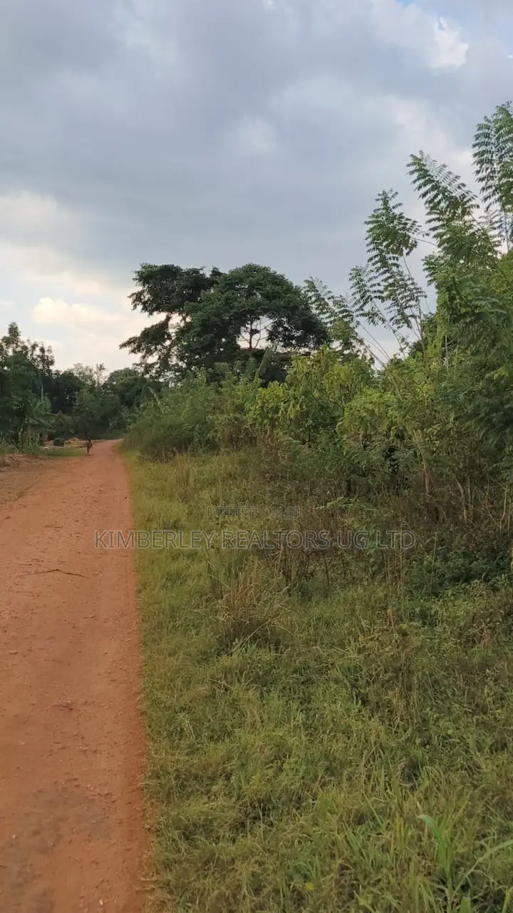 30 Acres Ofland for Sale – Nazigo (Kayunga–jinja Road)