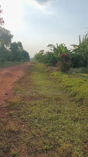 30 Acres Ofland for Sale – Nazigo (Kayunga–jinja Road)