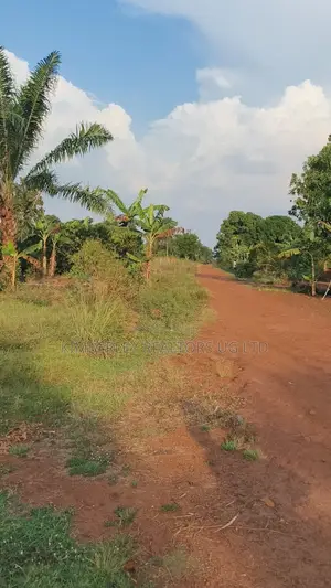 30 Acres Ofland for Sale – Nazigo (Kayunga–jinja Road)