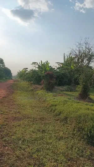 30 Acres Ofland for Sale – Nazigo (Kayunga–jinja Road)