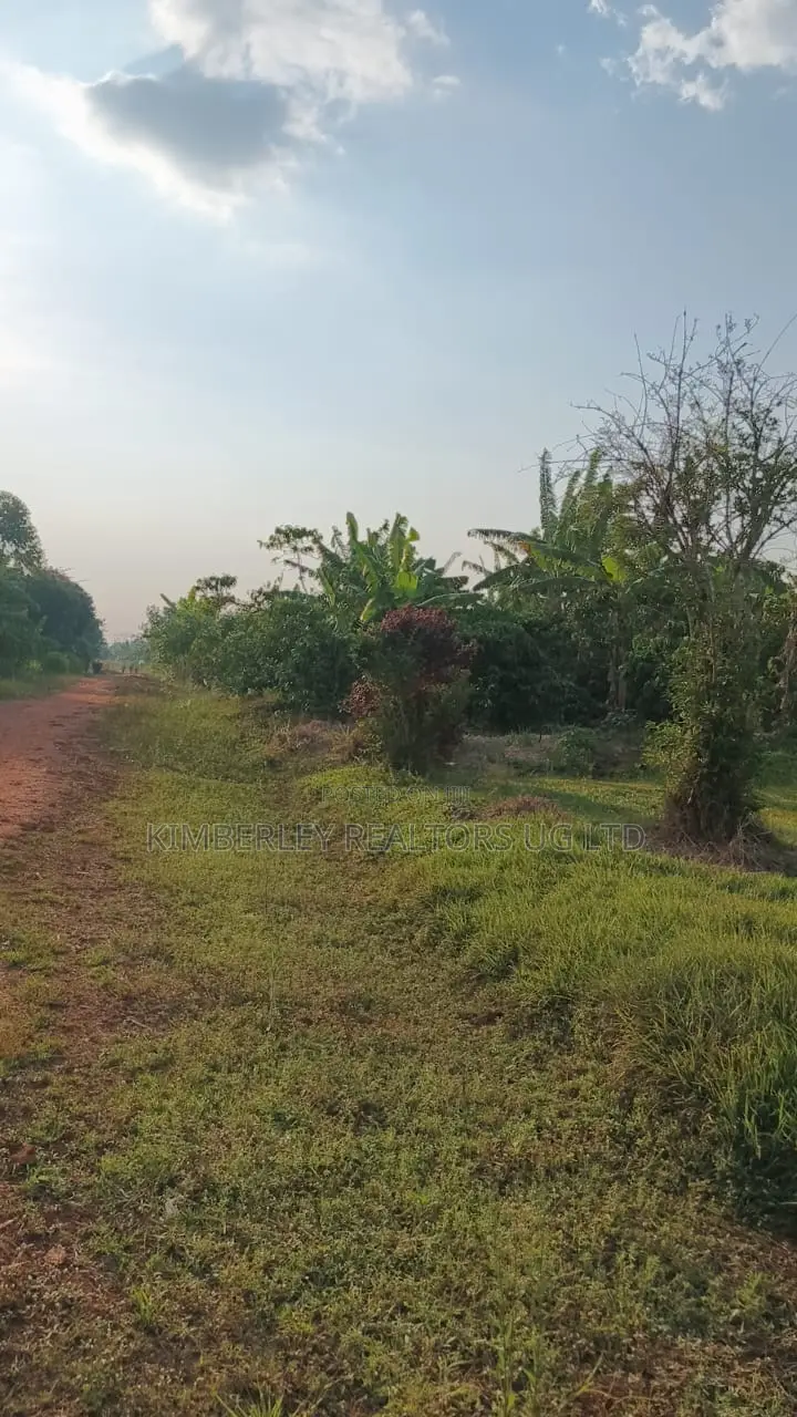 30 Acres Ofland for Sale – Nazigo (Kayunga–jinja Road)