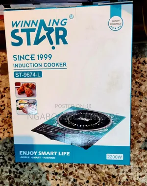 Winning Star Single-Burner Induction Cooker.