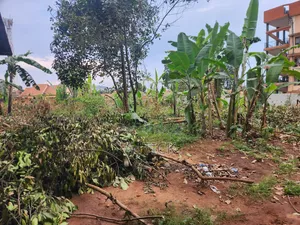 Land for Sale in Masanafu Along Sentema Road 500ft by 100ft 150,0000