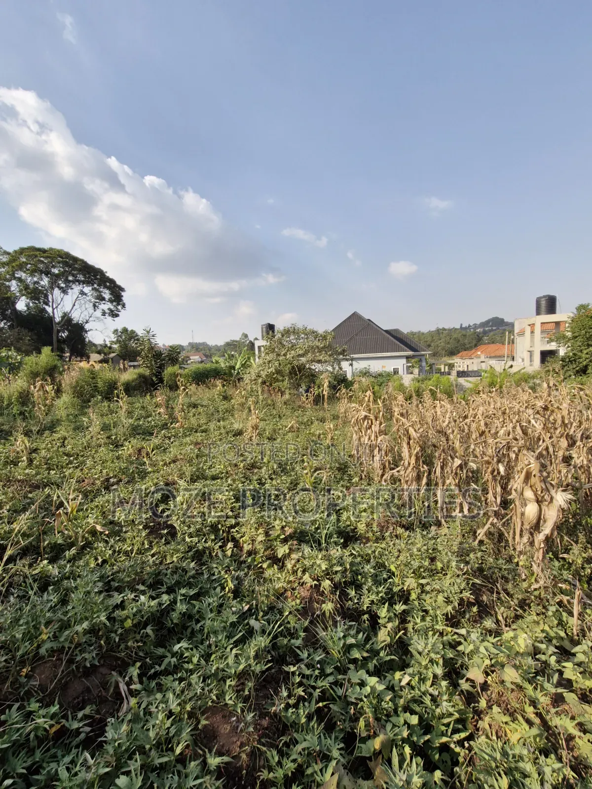 Namugongo Nabusugwe 50x100 Plot for Sale