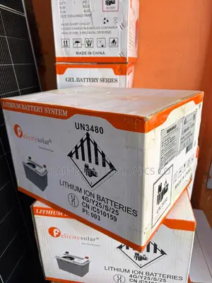 Genuine Long Life Felicity 2.56kWh Lithium Iron Phosphate Battery