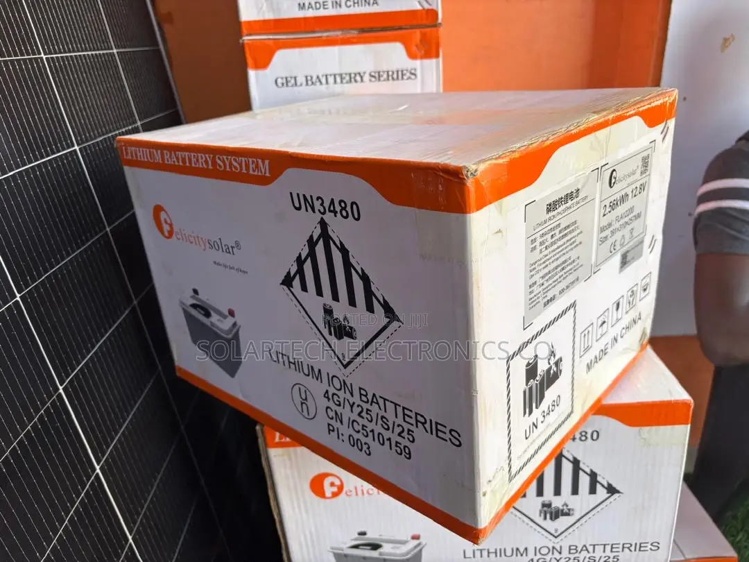 Heavy Duty Smart Felicity 12V 200Ah Backup Power Battery With BMS