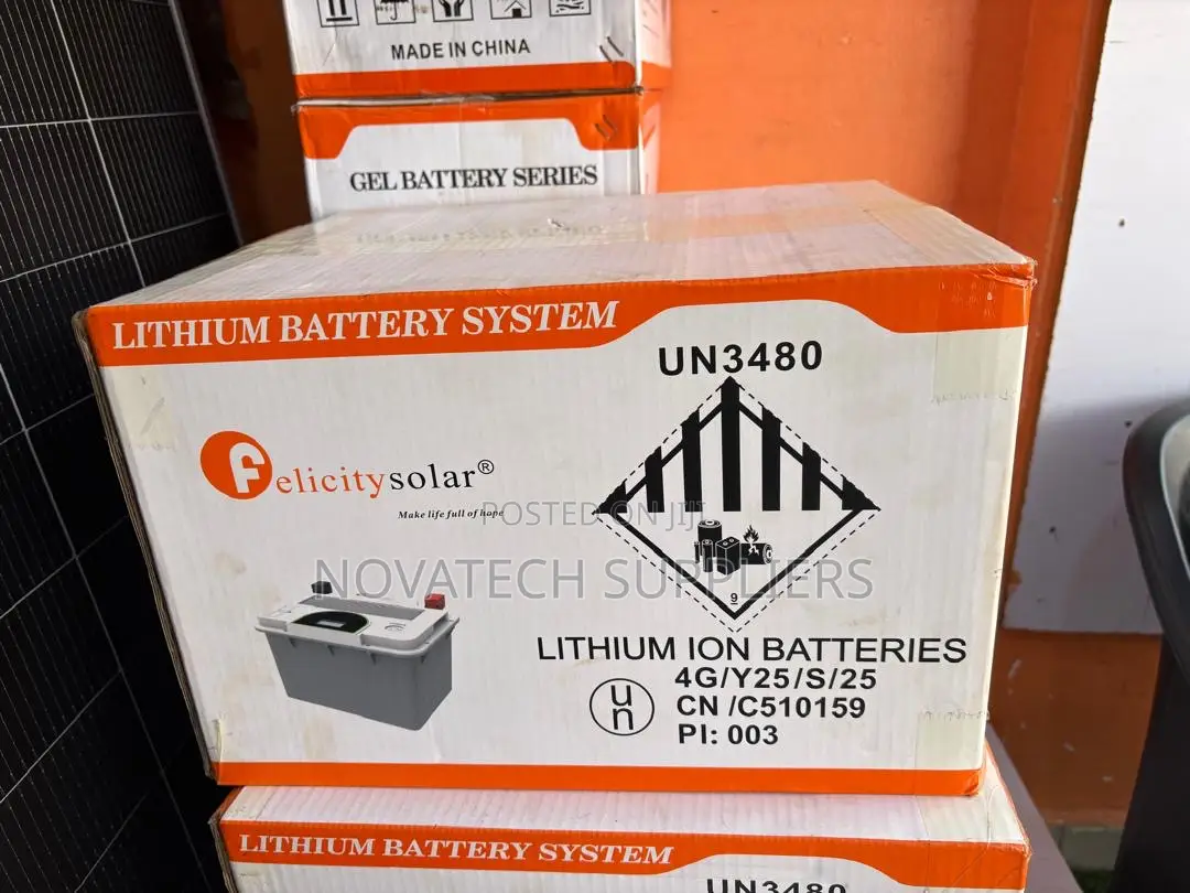 Compact 2.56kWh Felicity Lithium Battery With Smart BMS
