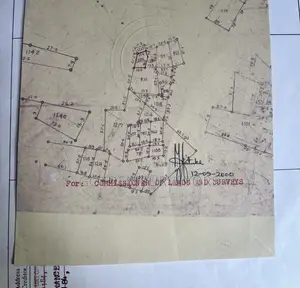 Land Surveyor