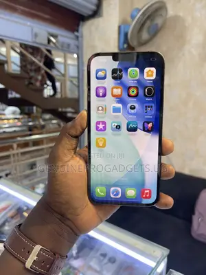 Apple iPhone 13 Pro Max 256 GB Black