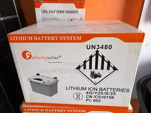 12V 1.28kWh Felicity Lithium Solar Battery With Smart BMS