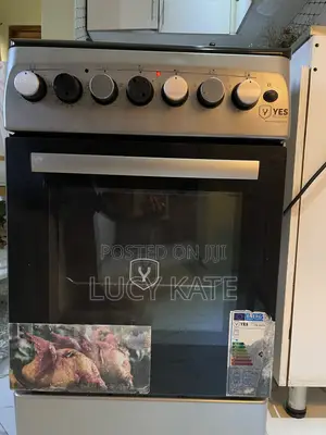 3*1 Electric * Gas Cooker With Oven
