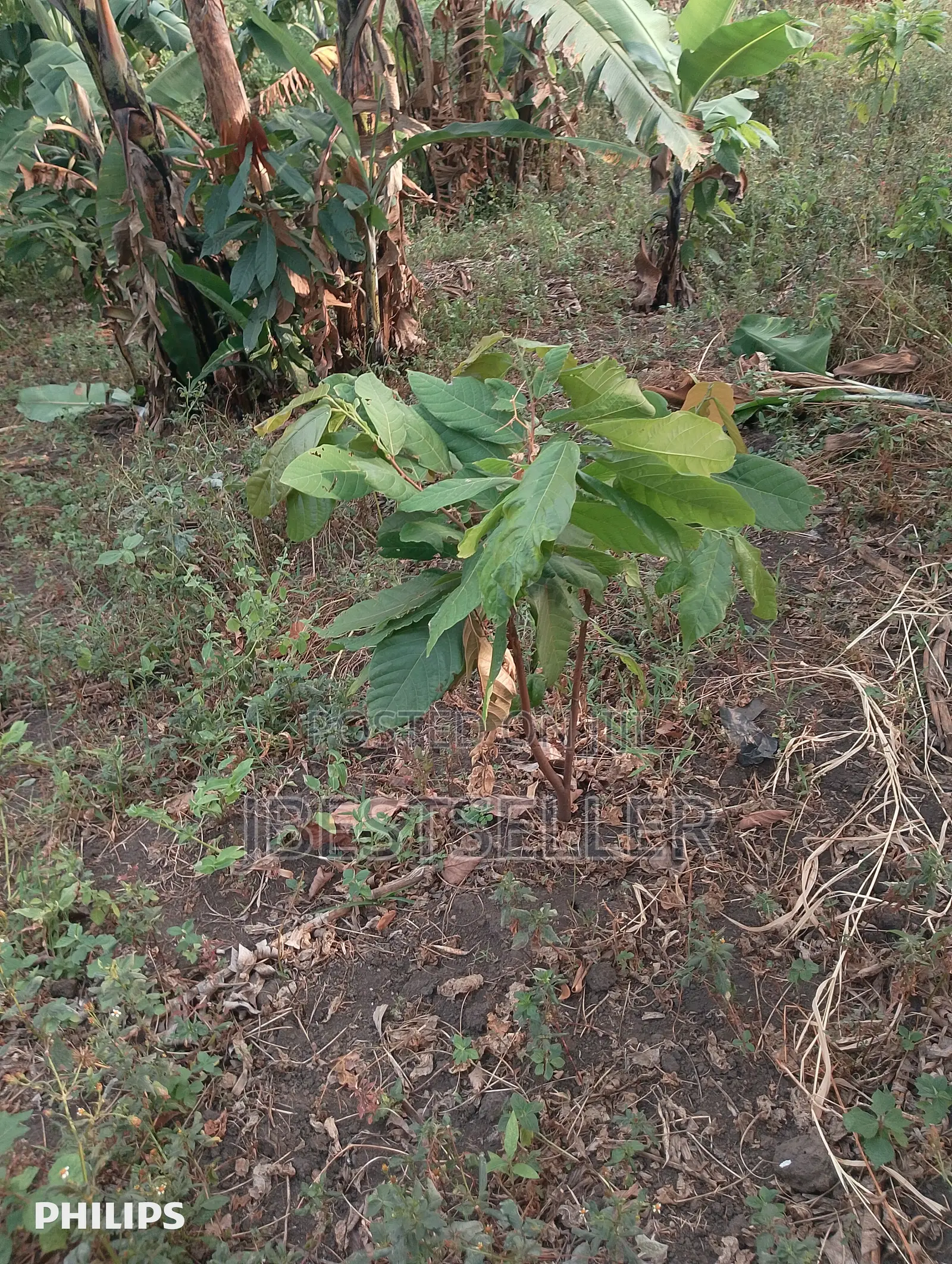 Upcountry Land for Sale in Mpigi