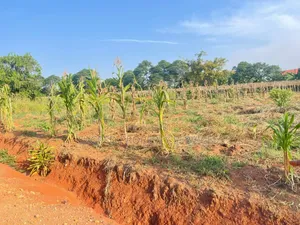 13 Decimals of Land in Bulindo