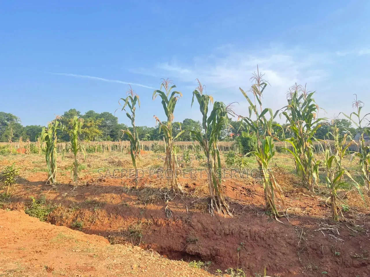 13 Decimals of Land in Bulindo